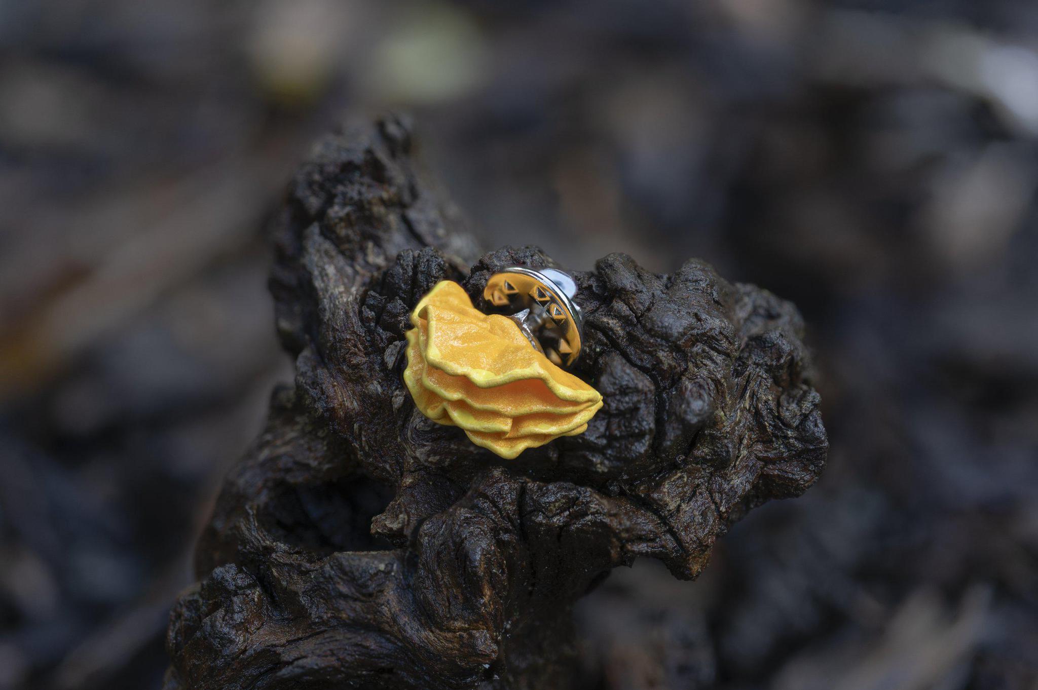 Chicken of the Woods Pin