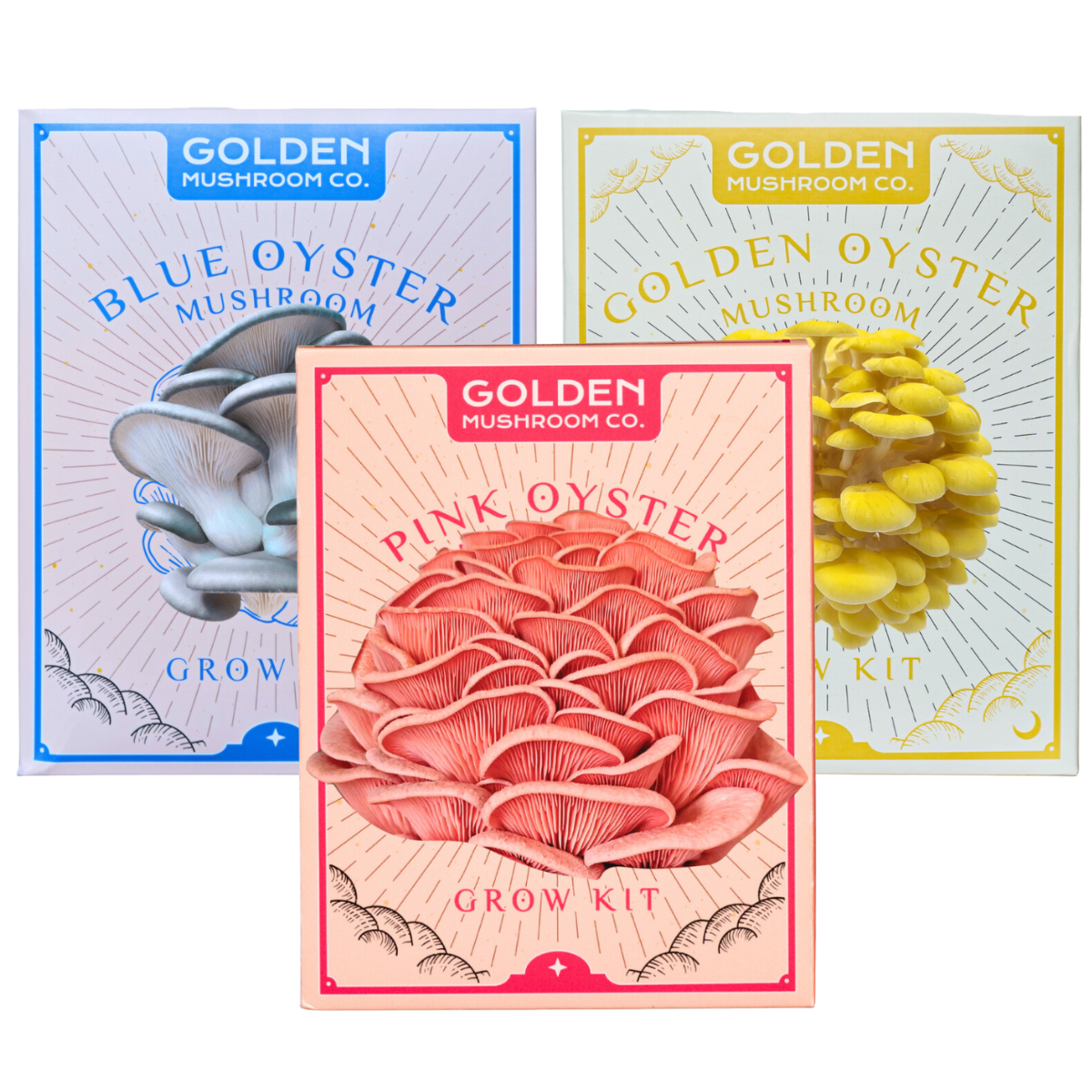 Oyster Mushroom Growing Bundle