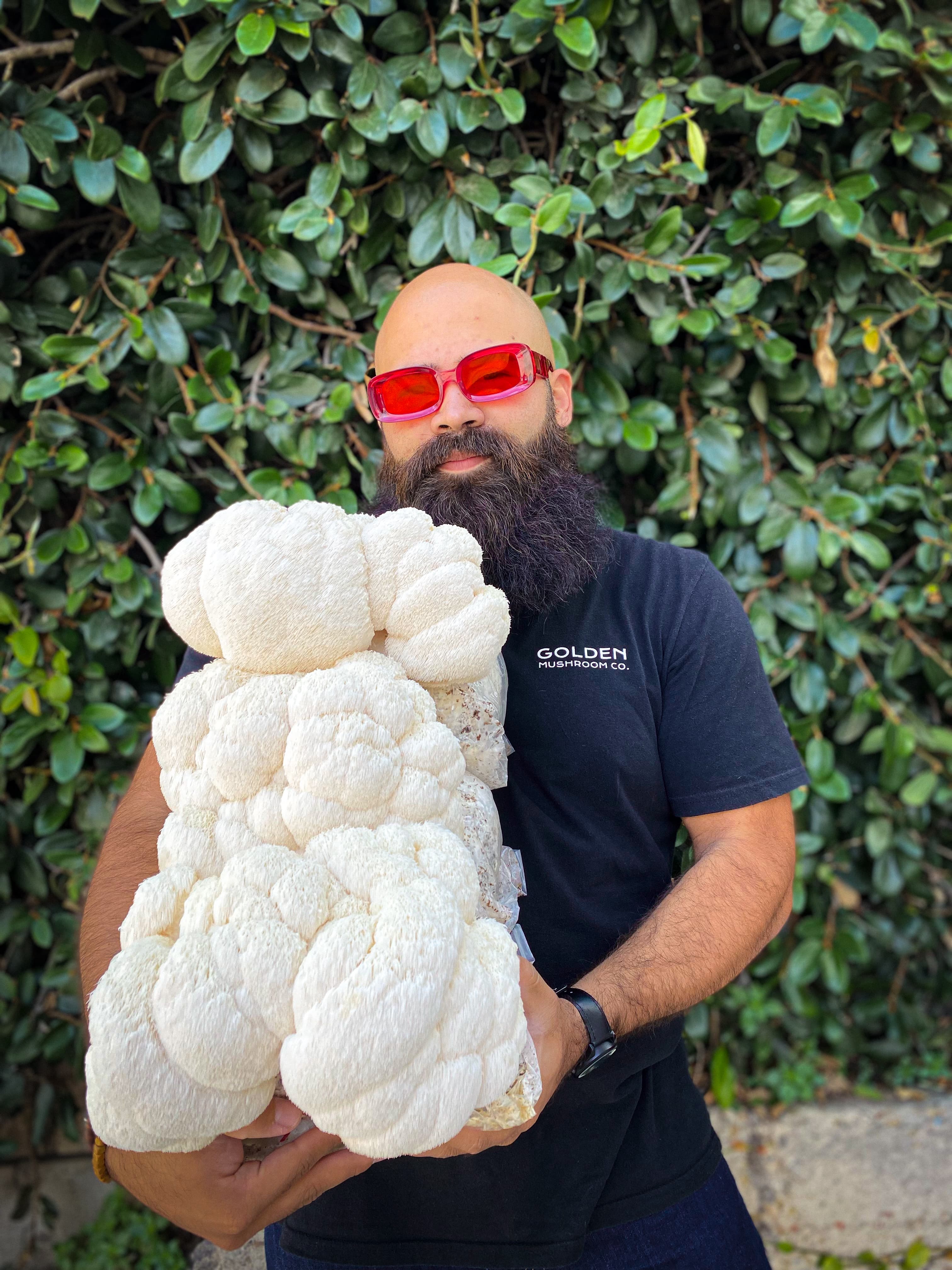 Founder with lion's mane mushroom block