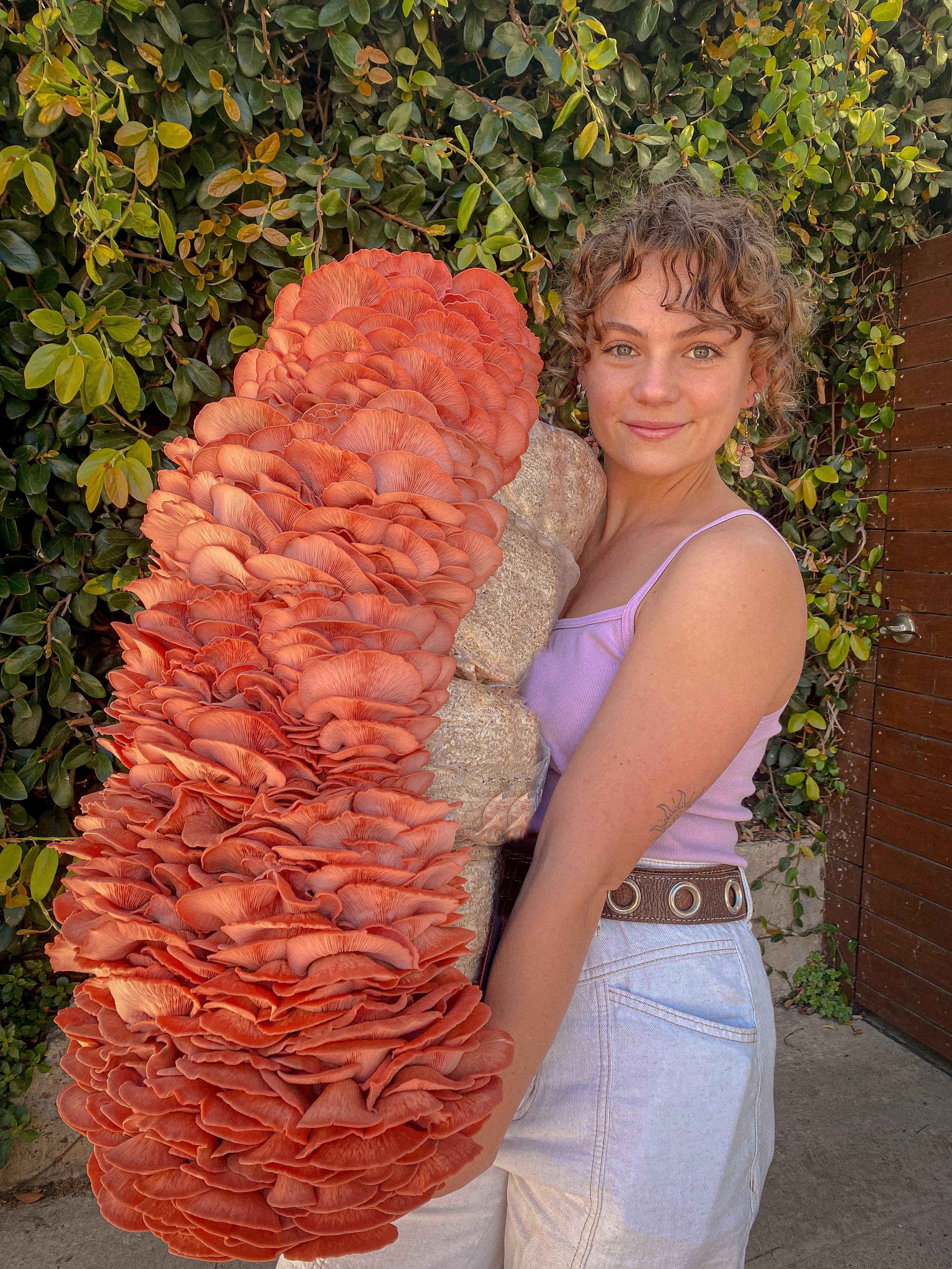 Customer holding pink oyster mushroom block