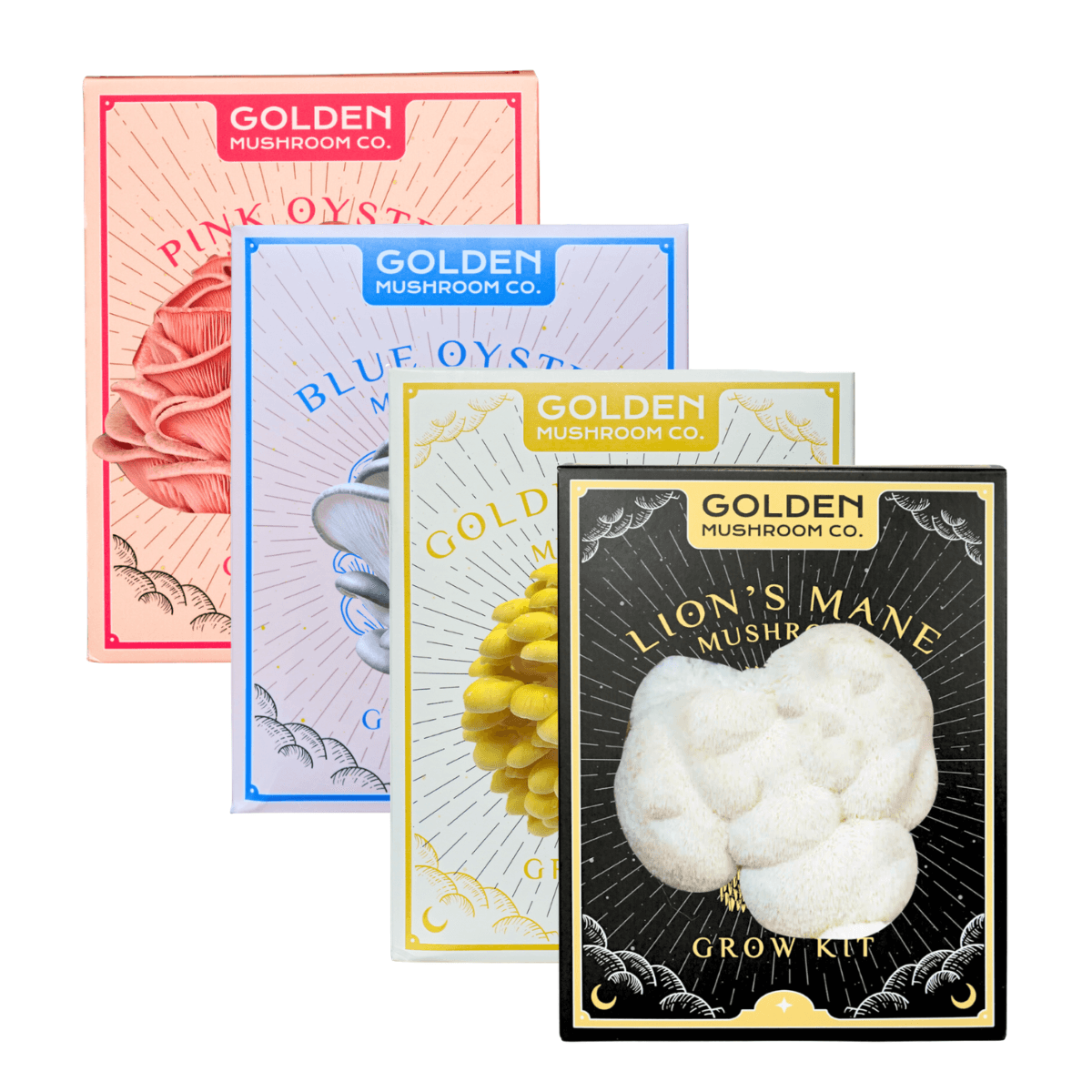 Ultimate Bundle — 4 Kits