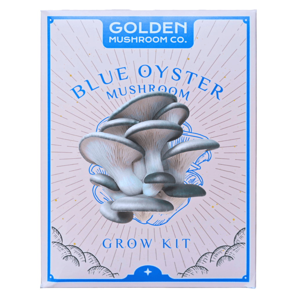 Blue Oyster 3 lb Grow Kit