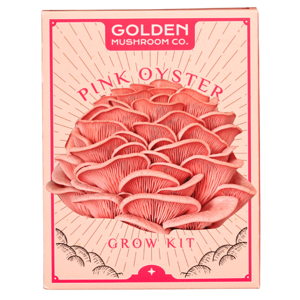 Pink Oyster 3 lb Grow Kit
