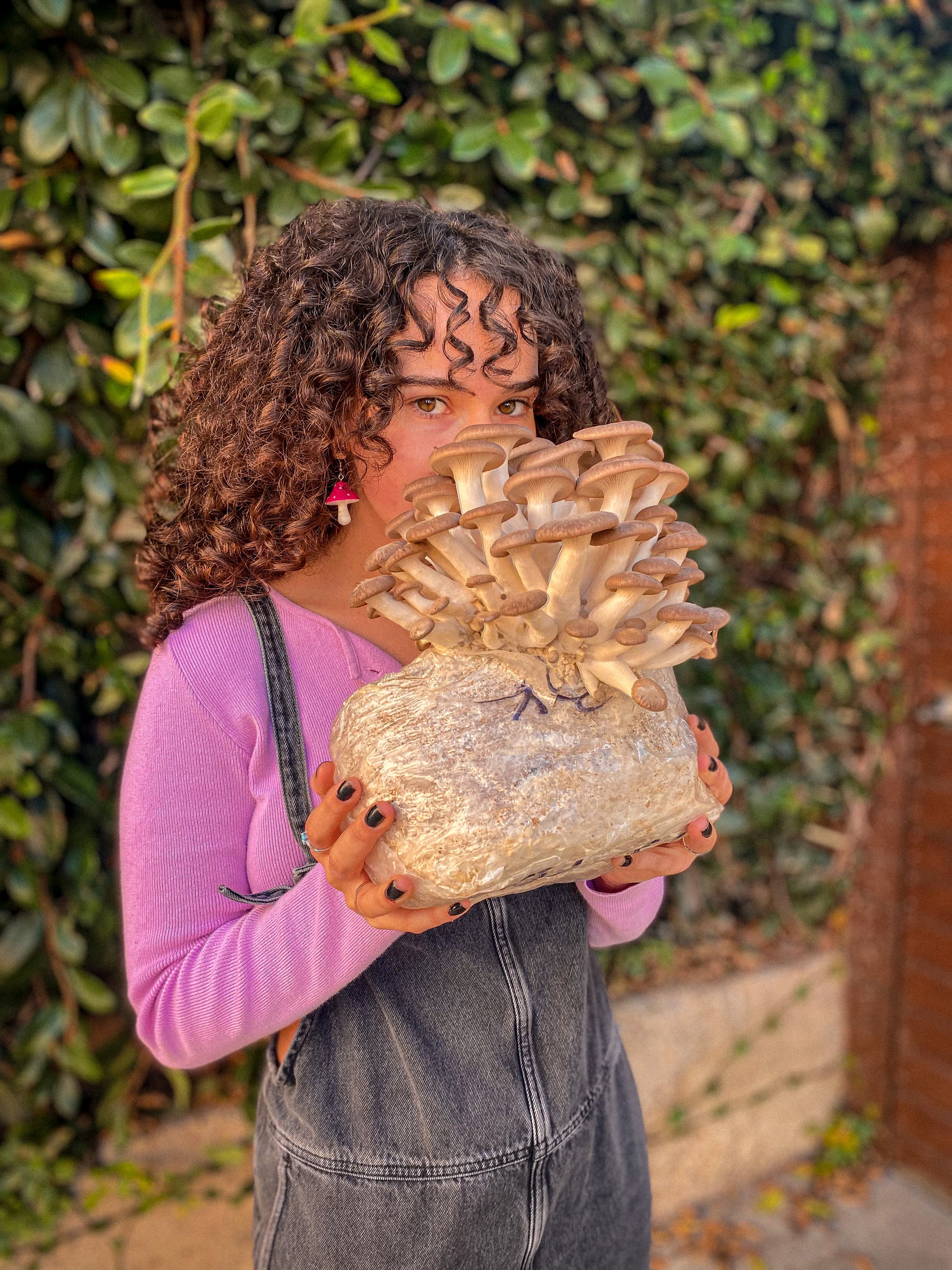 Model with king trumpet mushroom block