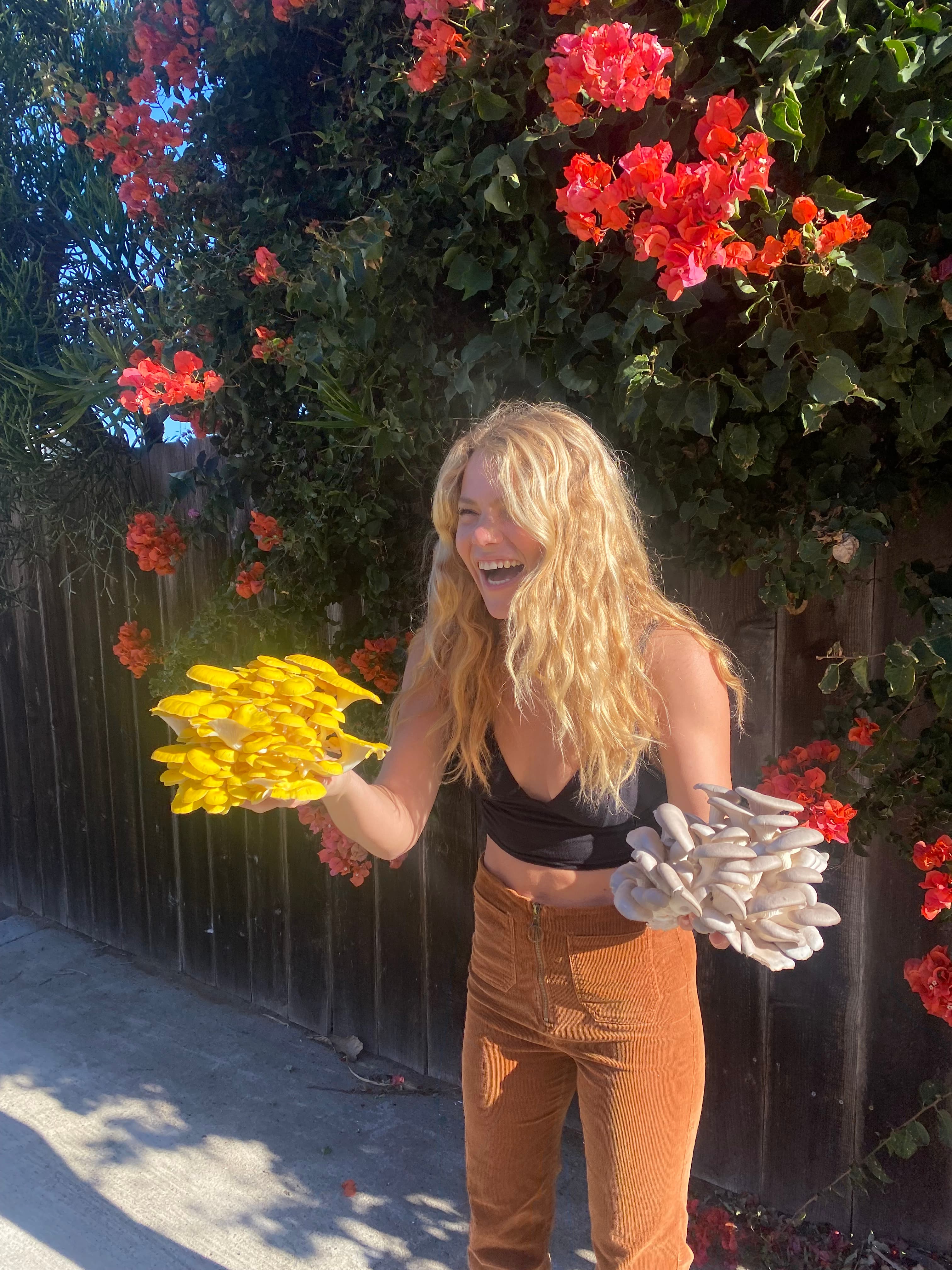 Model with gold and blue oyster mushroom blocks