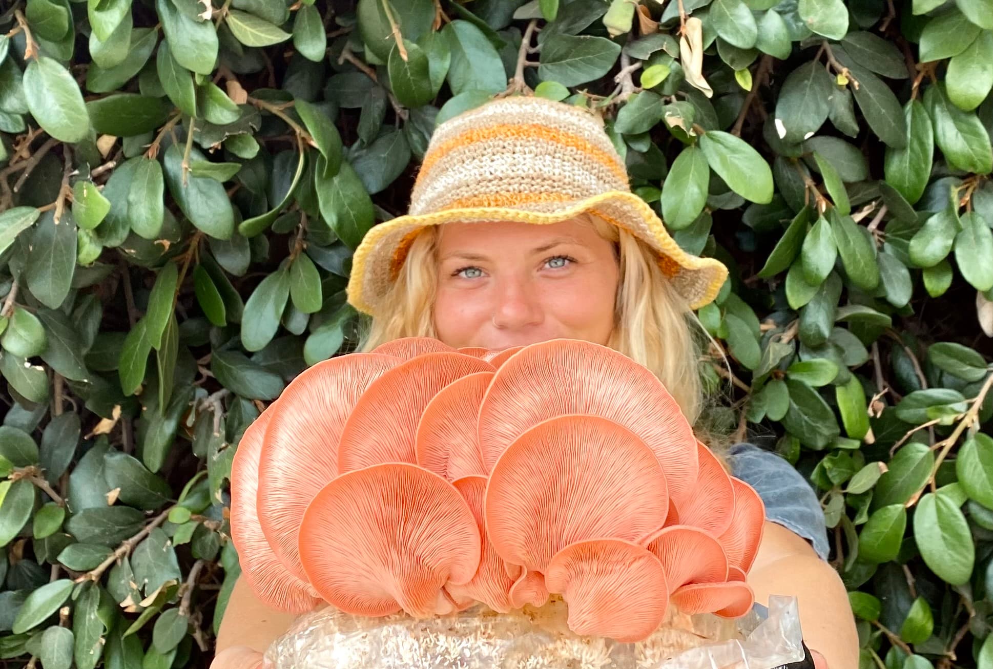Model with pink oyster mushroom block