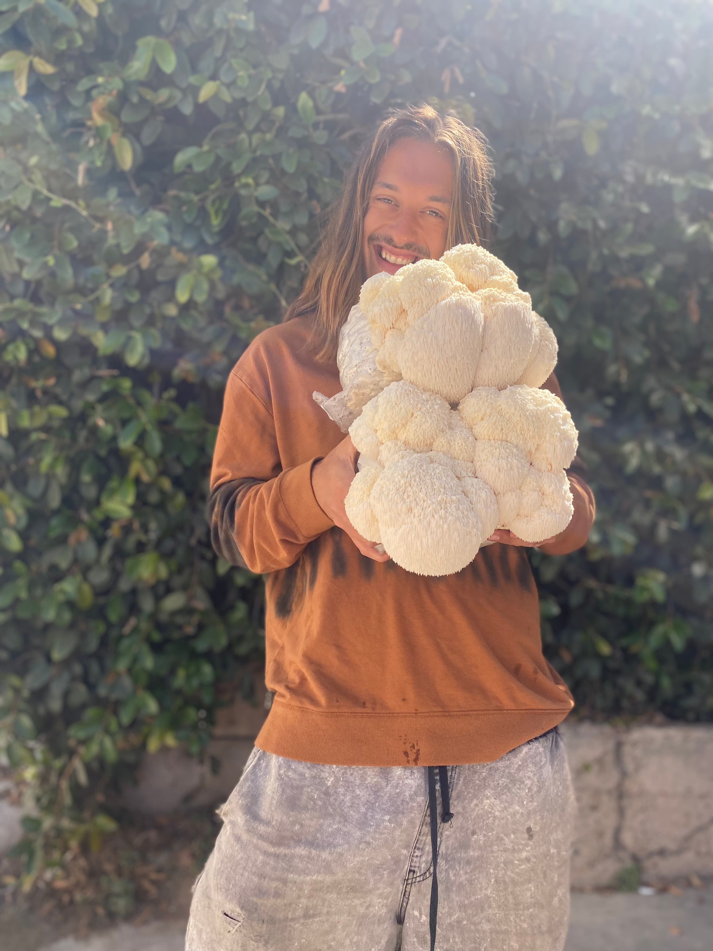 Model with lion's mane mushroom block