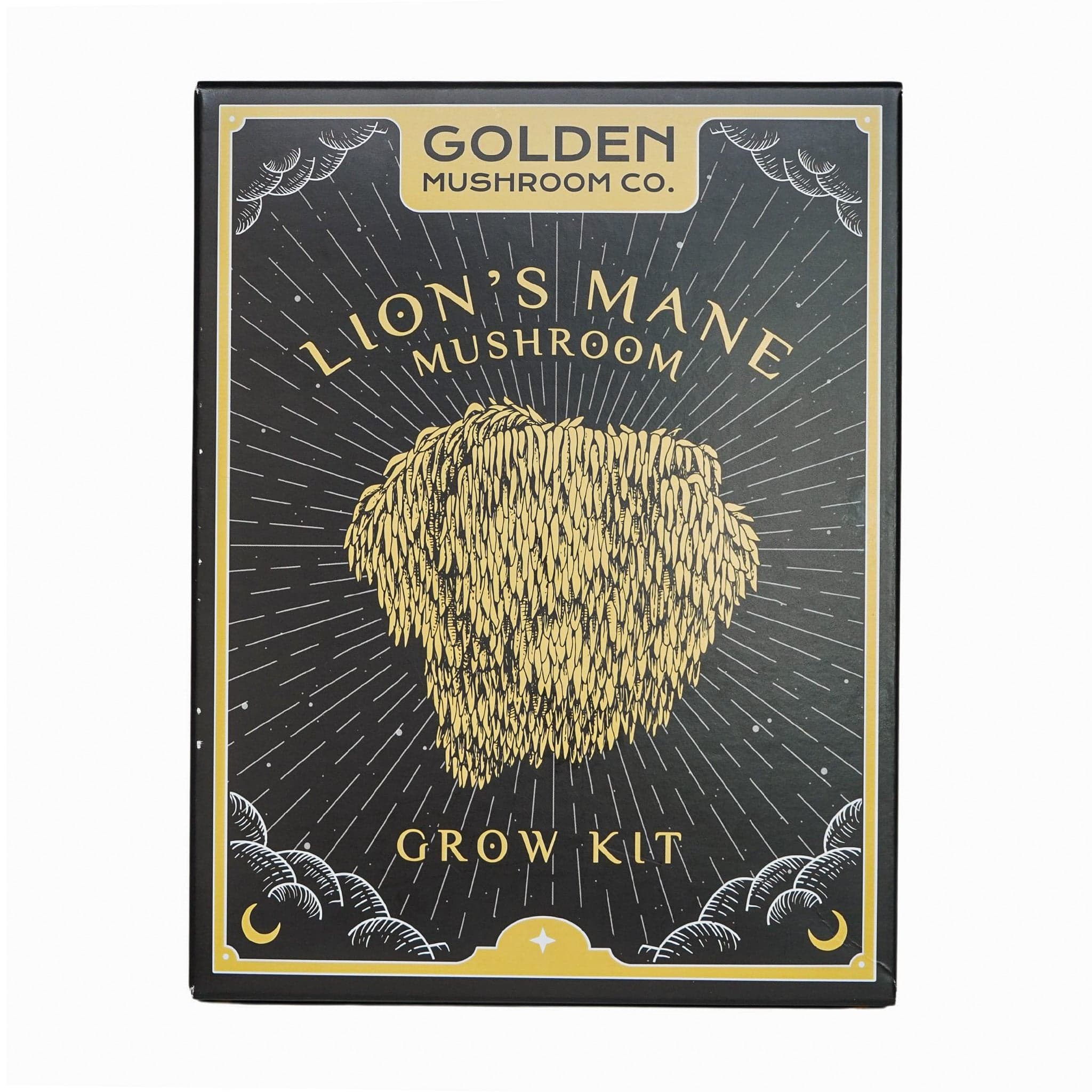 Lion's Mane 3 lb Grow Kit 5