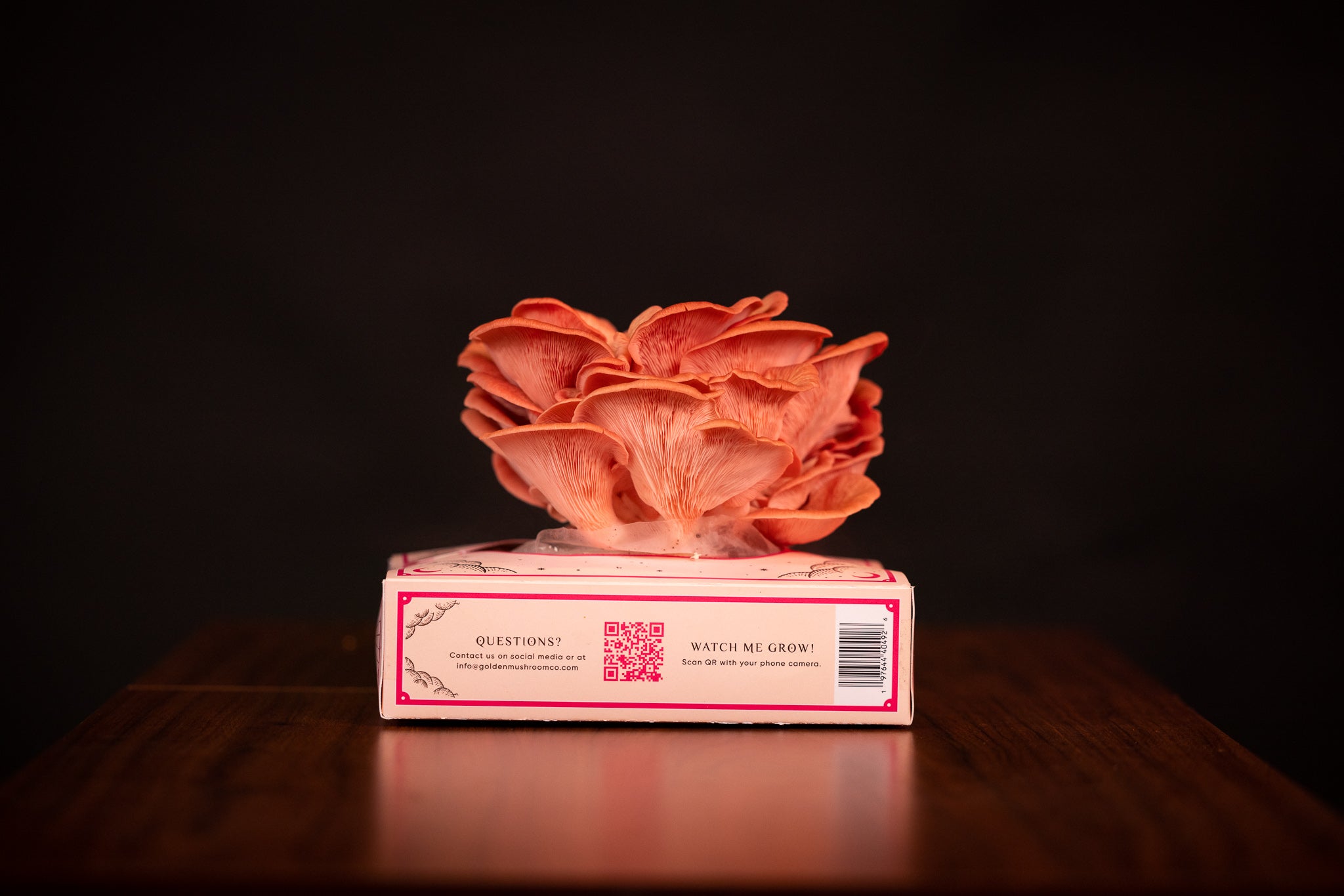 Pink Oyster Mushroom Grow Kit -