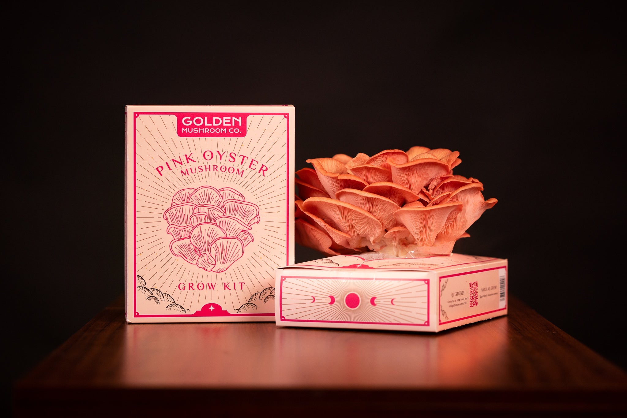 Pink Oyster Mushroom Grow Kit -