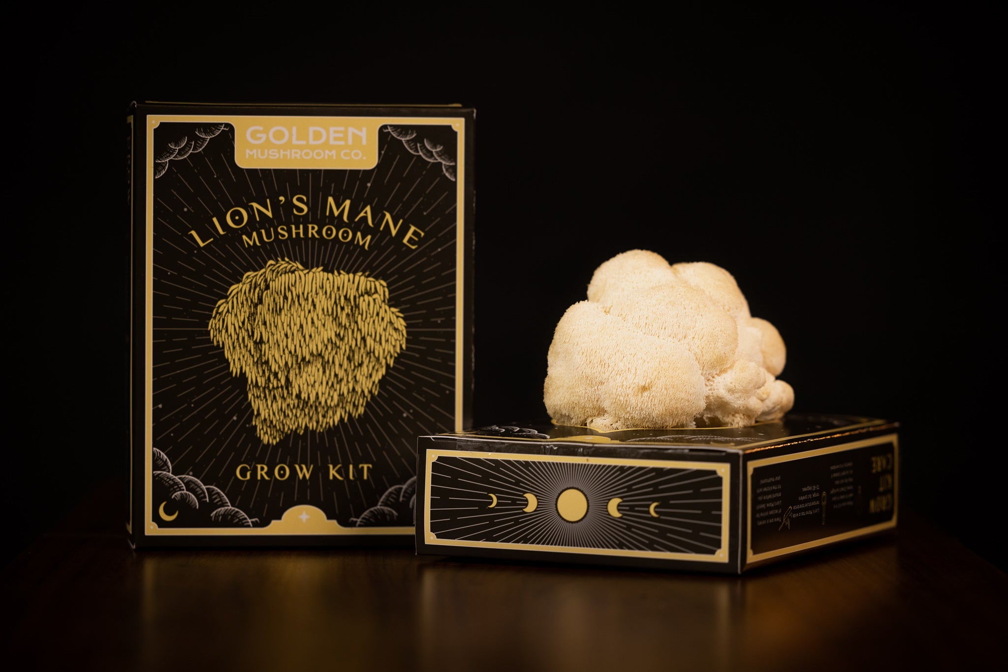 Lion's Mane Mushroom Grow Kit -